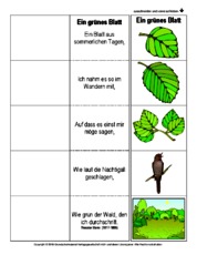 Flip-Flap-Ein-grünes-Blatt-Storm.pdf